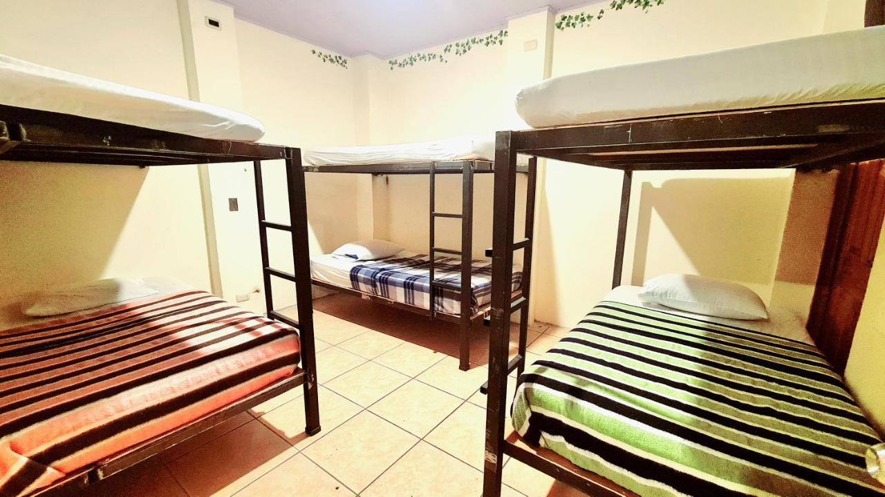 Eco Hotel Puerto Urbano 436 San José Extérieur photo